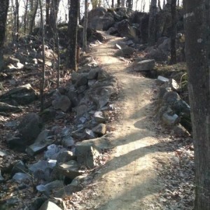 Leichen_Rock