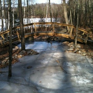 Shimmer_Trail