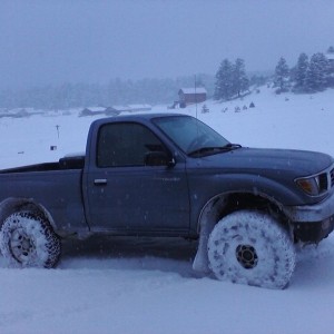 Getting some playtime in the snow today. :-) This picture message or video 