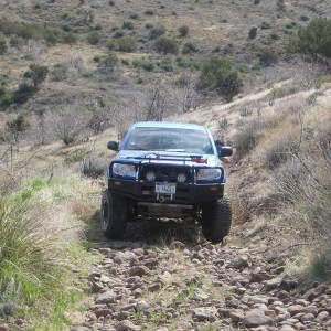 trail 309-1