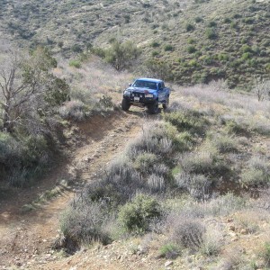 trail 309-2