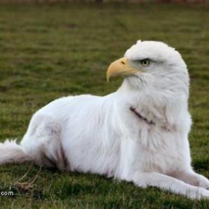 pic13357