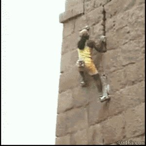 2a567_ORIG-wall_climber