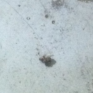 Killed that for you chris