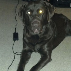 I will destroy you with my lasers!!!