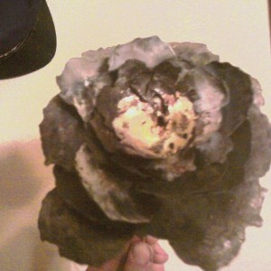 Only took 3 hrs to make, too...