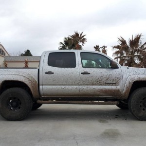 muddy