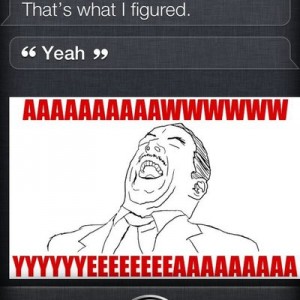 Siri is a bitch