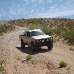 Whellin in the dessert