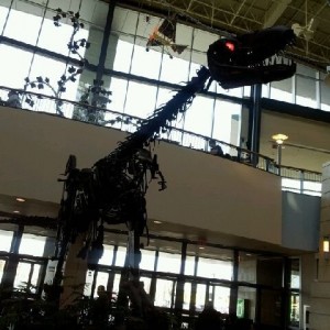 This message was sent from a Bell mobile phone.