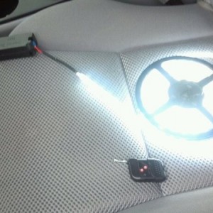 The bed lights