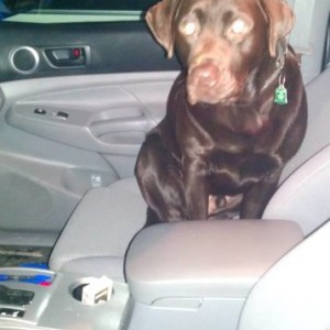 My Copilot
