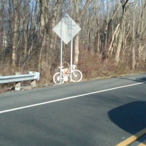 Shrine for a slain bike rider