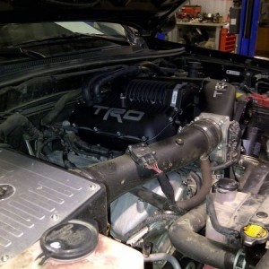 IMG-20111203-00038