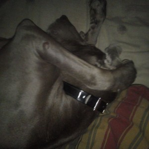 Mine sleeping