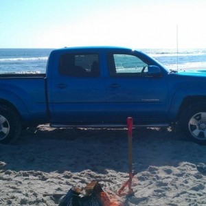 Assateague Island 2/18/12