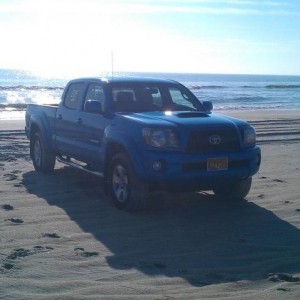 Assateague Island 2/18/12