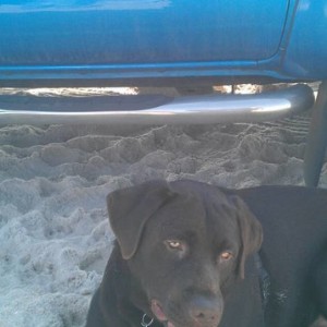 Assateague Island 2/18/12