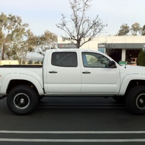 tacoside3