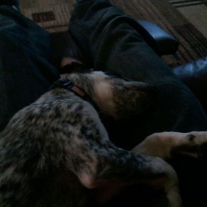 Passed out