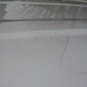 Thank God for claybars. I took this out of a Tacoma earlier today.