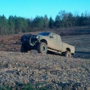 day after mudding