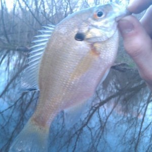 First fish of the year