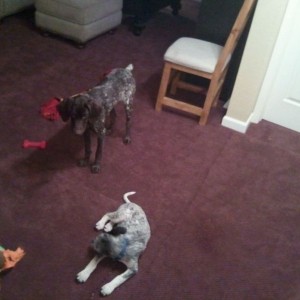 Cooper has a girlfriend haha