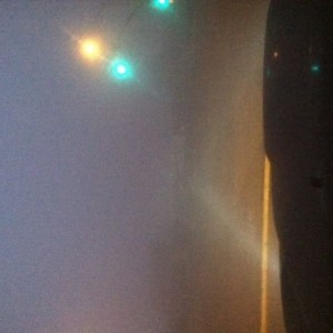 Crazy foggy this mornung