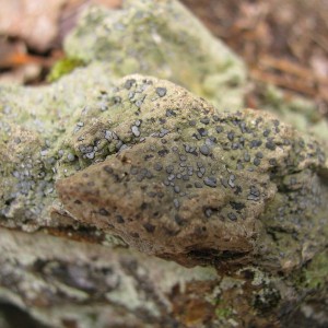 hiking_005