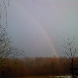 I'm not normall a rainbow, fairies and unicorns kind of guy, but this 
