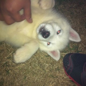 TW meet zeke