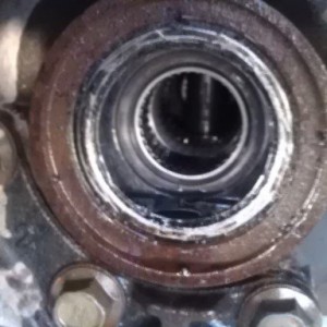 axle seal ate up