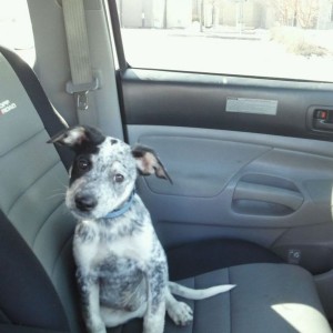 "but I don't wanna sit on my side"