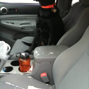 Brought me the bone