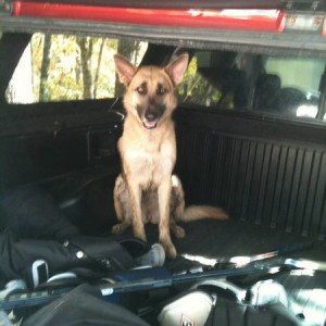 in the camper shell