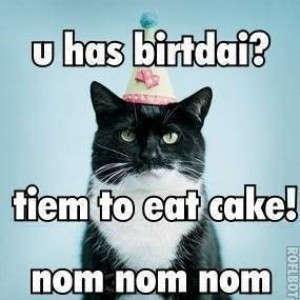 cat_birthday