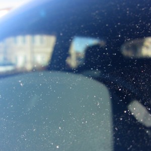 Front_Windshield_01