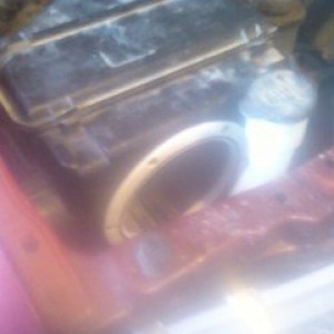 Photo01221251