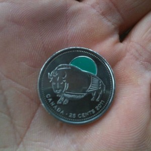 For the coin collector thread New Bison quarter