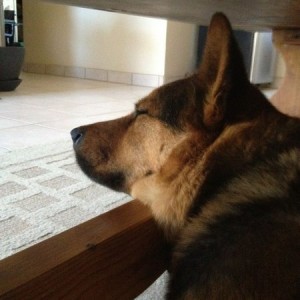 Chillin like a boss