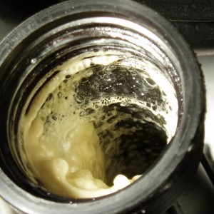 Oil Emulsion