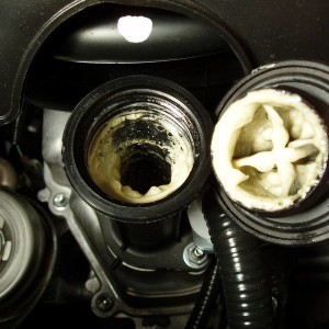 Oil Emulsion