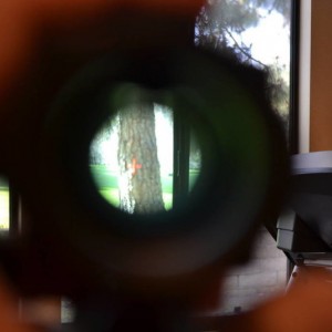 Barska red dot