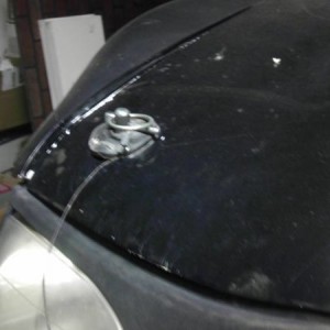 IMAG002913