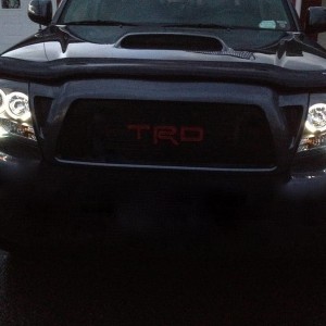 TRD Grille