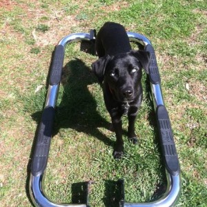 running boards