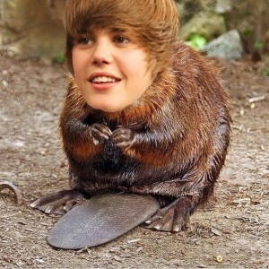 JustinBeaver