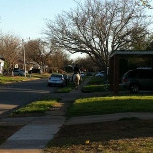 You know you live in Texas when...