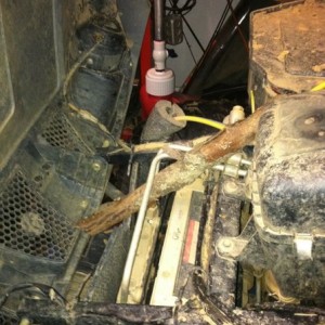 This is why we got a new one. Brother almost sent 